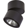 Светильник накладной LIGHTSTAR FORTE MURO 213857