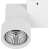 Светильник накладной LIGHTSTAR Illumo X1 51026
