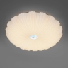 Светильник настенно-потолочный LIGHTSTAR ARCO II 225440
